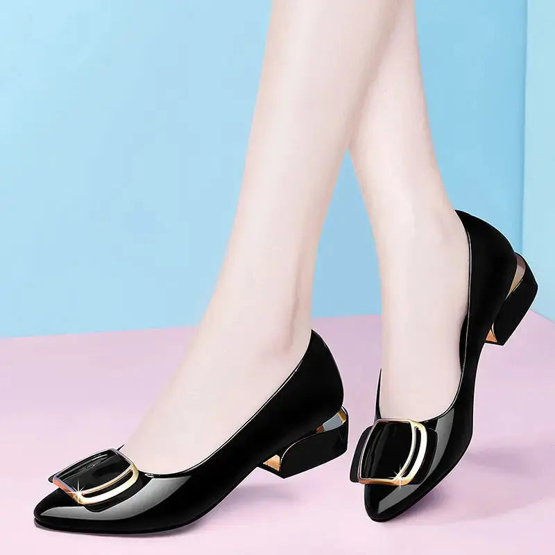 Comfortable Highly Rated Women Classic Low Heels Lizbert