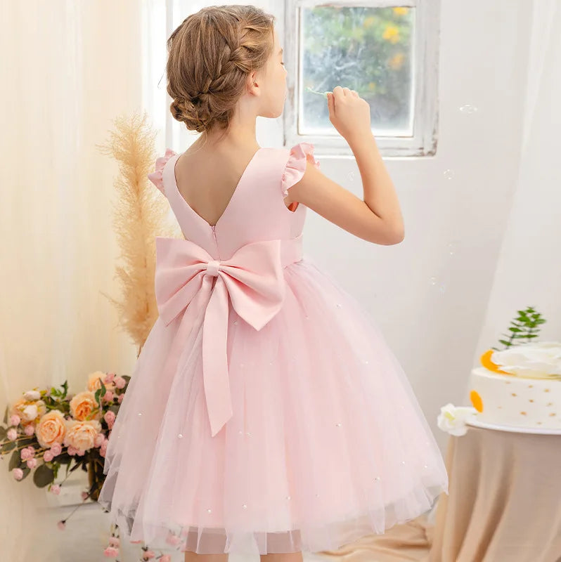 Kids Dresses for Girls Clothes Children's Clothing Fairy Princess Girls Dress Dance Wear Stage Party Lace Cosplay Costumes Lizbert