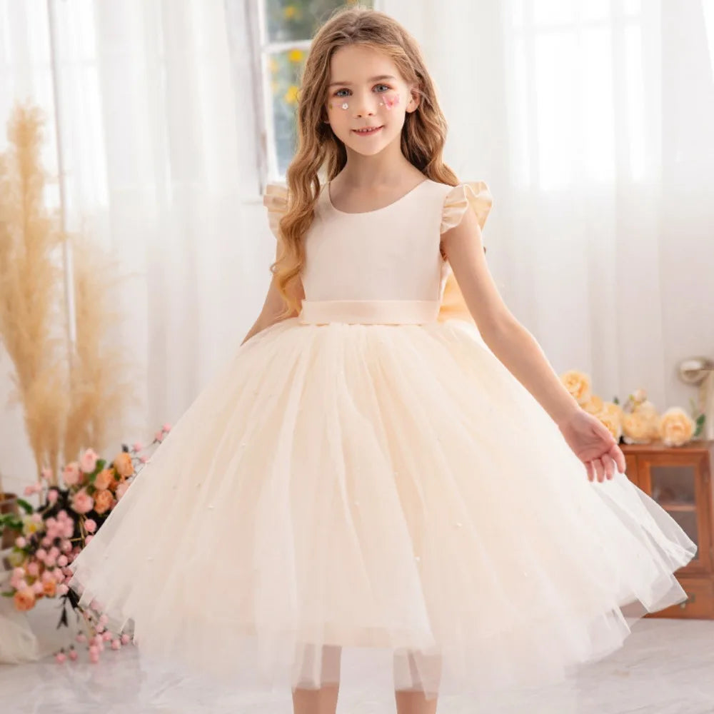 Kids Dresses for Girls Clothes Children's Clothing Fairy Princess Girls Dress Dance Wear Stage Party Lace Cosplay Costumes Lizbert