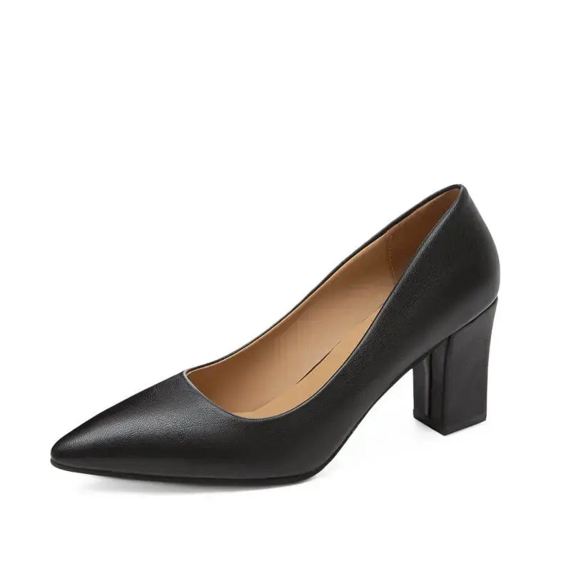 Highly Rated New Flattering High Heels Ladies Shoes Lizbert